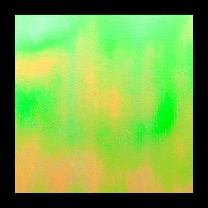 Aurora Green Seal (input One) 3 Aurora Green Seal (input One)