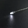 3mm Shell Type LED(White) GSI LED Module -Model Circuit Shop VAL 02W